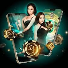 th39 login